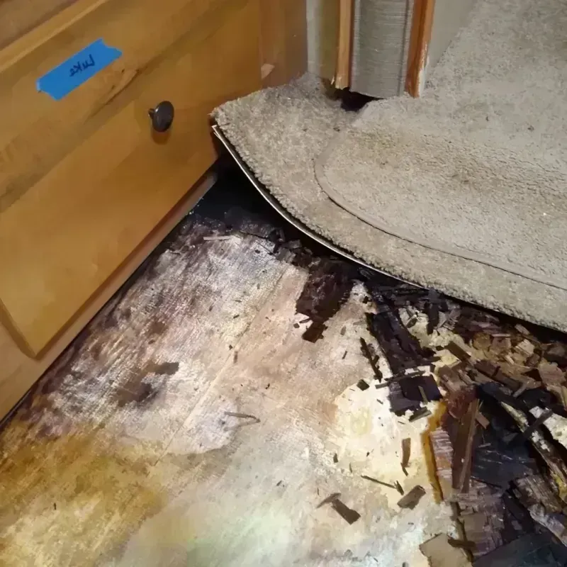 Best Wood Floor Water Damage Service in Upton, WY